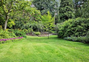 Optimiser l'expérience du jardin à Saint-Hilaire-de-Villefranche